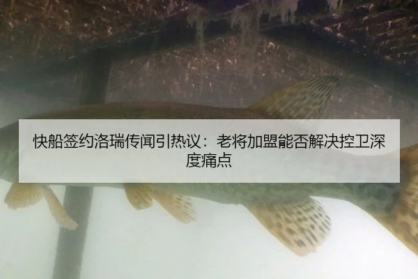 快船签约洛瑞传闻引热议：老将加盟能否解决控卫深度痛点